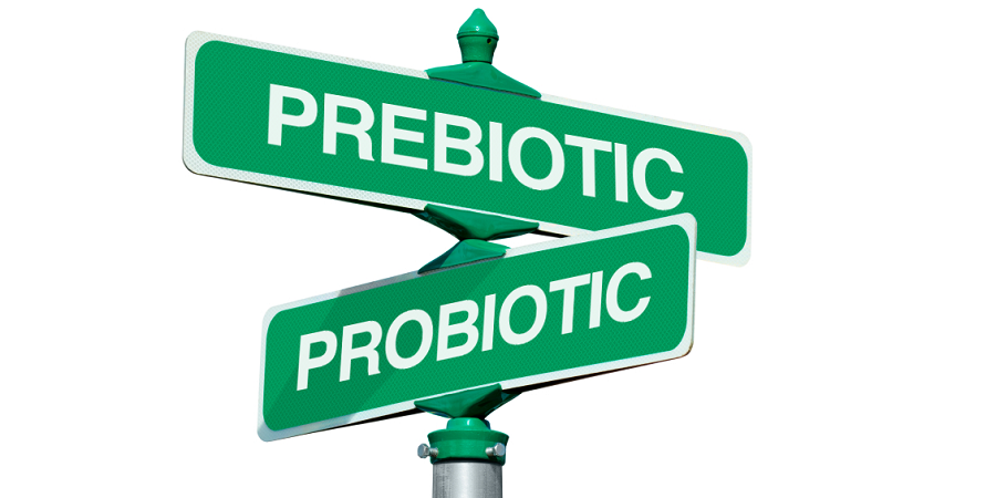 Probiotic & Prebiotic: A non-pharmaceutical approach without the risk of side effects