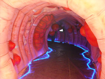 colon-entrance